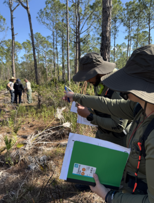 MASTERING LAND NAVIGATION - Image 5